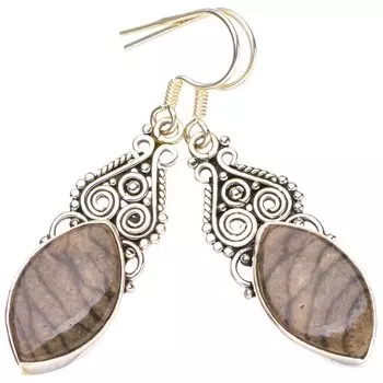 StarGems® Natural Picture Jasper Handmade 925 Sterling Silver Earrings 1.75 E5847