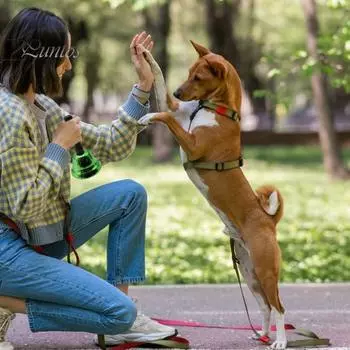 Старинный литой колокольчик с пластиковой ручкой, сверхгромкий, прочный, для свадеб, дрессировки животных, ужина, медитации, музыкального обучения, сервисный звонок красный