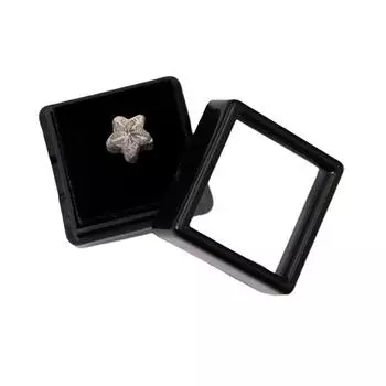 Статуя пятиконечной звезды, натуральное животное, ископаемое, грубые подарки, коллекция, украшение для дома, украшение для обучения, образцы, украшения