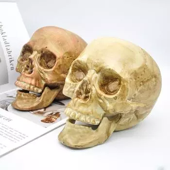 Статуя Скульптура Пластик Хэллоуин Домашнее украшение Украшение Ремесло Череп Размер 1:1 Модель Life Copy Высокое качество Декор Черепа