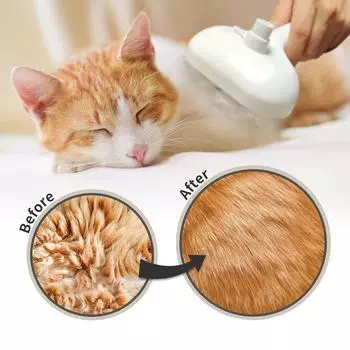 Steamy Cat Brush Pet Spray Grooming Comb Remove Floating Hair Fluffs Hair Water Steam Styling for Dogs Cats Accessories белый