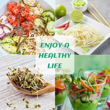 Стеклянная банка для проростков фасоли для свежих ростков Кухня Чистая и аккуратная Чистая и аккуратная Кухня Sprossenglas