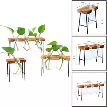 Стеклянная бутылка Ваза Гидропонное растение Прозрачная ваза Деревянная рамка Декор для кофейни Стол Украшение стола Ваза