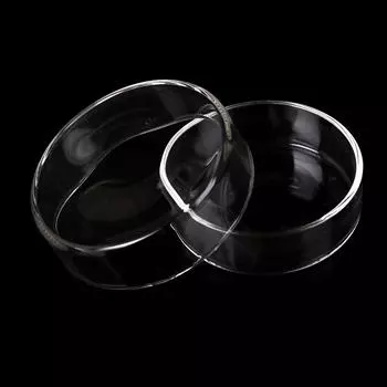 Стеклянная чашка для тканевых культур диаметром 60 мм с крышкой