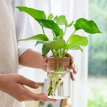 Стеклянная гидропонная ваза, настольные украшения, цветочная композиция, украшения для дома своими руками
