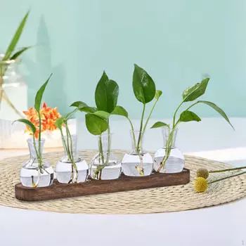 Стеклянная ваза для растений, террариум, держатель для растений, декоративная кашпо для центральной части стола