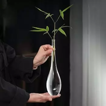 Стеклянная ваза в японском стиле, прозрачный гидропонный цветочный контейнер, украшение для дома из растений, ваза Гуаньинь в стиле дзен