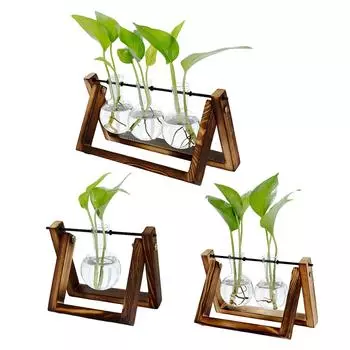Стеклянный горшок для растений, ваза для лампочек, настольный стеклянный аквариум, настольный террариум для растений с деревянной подставкой, украшение для дома, прямая поставка, оптовая продажа