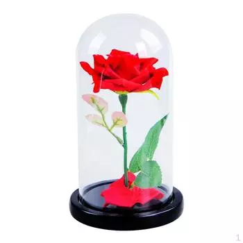 Стеклянный купол с розовым микропейзажом в центре, красный зелёный