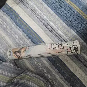 Stellive Jang Pad Animate Collabo Cafe Версия