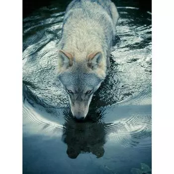 Стены искусства полный пейзаж пейзаж 3d Diy Алмазная картина вышивка крестиком Алмазная вышивка украшение дома Full Round 20X30CM