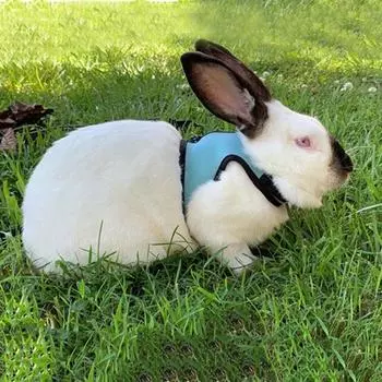 Стильная шлейка для домашних животных, многоцветная, нагрудный ремень для домашних животных, шлейка для кроликов и поводок, набор для прогулок на свежем воздухе S красный