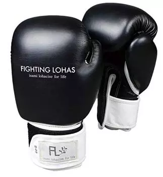 Стильные боксерские перчатки ISAMI Fighting LOHAS FL-108_FL-110 (Черный, 8 унций) чёрный