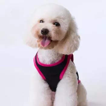 Стильный дышащий яркий жилет для домашних животных с принтом короны для собак и щенков, летние принадлежности S чёрный