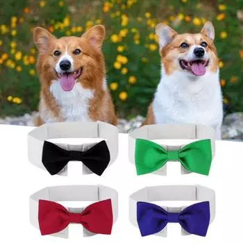 Стильный привлекательный яркий цвет ремешок для шеи собаки Pet Puppy Bowknot Расходные материалы S чёрный
