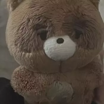 Стоимость куклы Theboyz Sunoo Zoguri