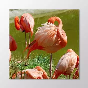 Стол Фламинго