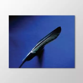 Стол из птичьих перьев