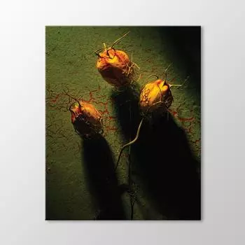 Стол сушеных цветов