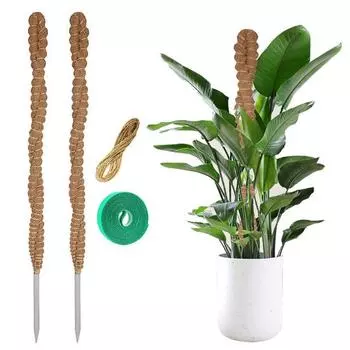Столб для мха для комнатных растений Гибкий регулируемый универсальный дизайн Легко фиксируемые палочки для растений Поддержка кольев для вьющихся растений S
