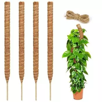 Столб из мха с пеньковой веревкой длиной 2 м. Недеформированный, прочный. Легко устанавливается. Впитывающий материал. Гибкая опора для растений своими руками. 30cm