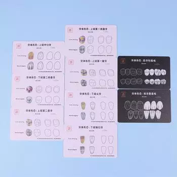 Стоматологическая композитная пломбировочная доска для практического применения Модель Зубы Шаблон Реставрация Полости Стоматолог Передняя Задняя Практика Стек Смолы