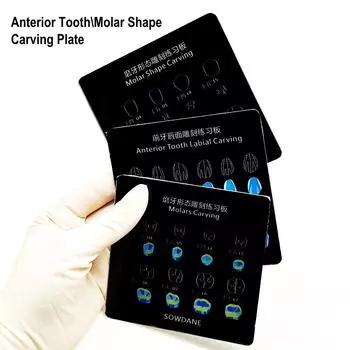 Стоматологическая обучающая модель передних зубов/моляров, пластина для резьбы, доска для морфологии, инструменты для стоматологической практики 1 piece for Anterior
