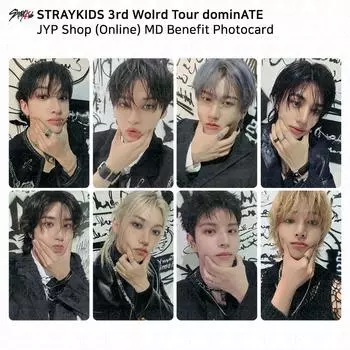 Stray Kids 3rd World Tour доминирует JYP Shop Online MD Benefit Photocard KPOP Changbin