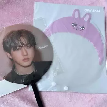 Stray Kids CHANGBIN YOUR HERO HMV MUSEUM Официальный пикет MD Clear Image и обложка для пикета SKZOO Mini Image DWAEKKI Set