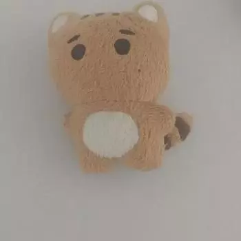 Stray Kids катается на лыжах на одной короткошерстной кошке