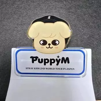 Stray Kids Maniac Japan Concert Md Skiju Perfim Badge