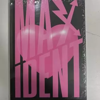 Stray Kids - Максидент