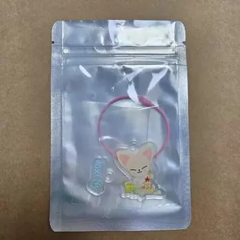 Stray Kids Ski Zoo Magic School Busan Pop-up Foxgny Diy Key Ring Unopened Unused