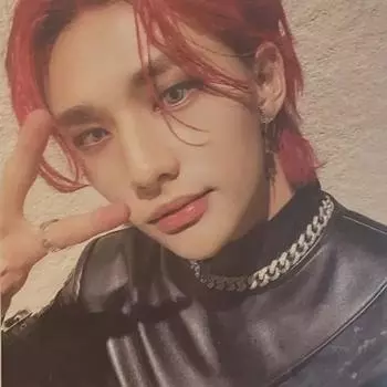 Stray Kids Skies Ordinary Dual Case Хёнджин Фока Ми Страх