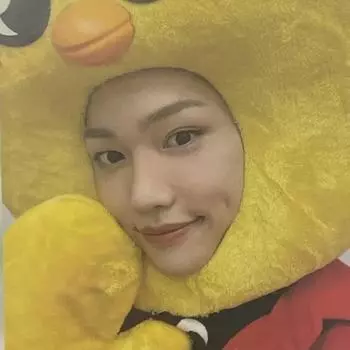 Stray Kids Skis Ski Zoo Нойджи Саве Феликс Фока Мой пузырь страха