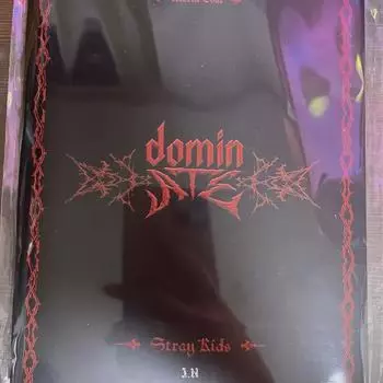 Straykids доминируют в книге открыток