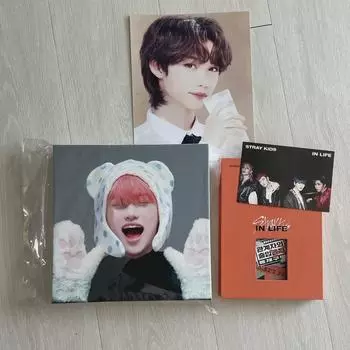 Straykids Феликс Квадратная рамка