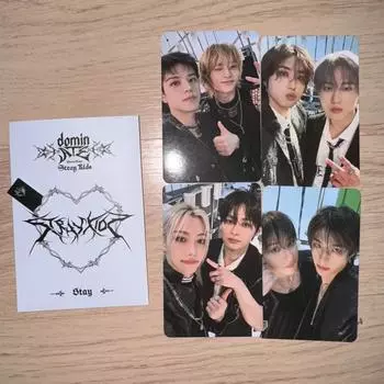 Straykids Poca Dominate 25 августа Концерт Stay Zone Подарок