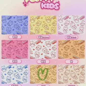 Straykids Seung-min Rami Blanket Large Sealed