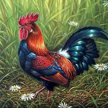 Стразы 5D Алмазная вышивка Ремесло Картина Петух Diy Алмазная вышивка Мозаика Подарок Алмаз 20x20CM
