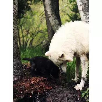 Стразы Вышивка 5D Алмазная картина DIY Алмазная вышивка Подарок Алмазная стена Искусство Декор Full Round 20X30CM