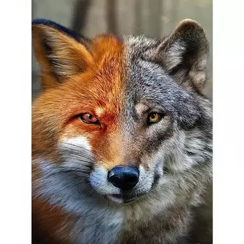 Стразы Вышивка 5D Алмазная вышивка Картина Вышивка крестиком Мозаика Подарок Алмазная стена Искусство Декор Full Round 20X30CM