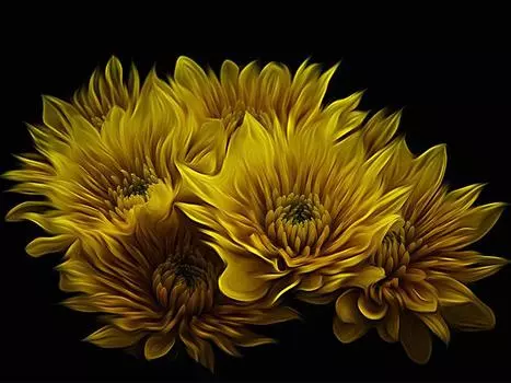 Стразы Вышивка 5D Алмазная вышивка Ремесла Желтый цветок Мозаика Подарок Взрослым Алмаз 20X30CM