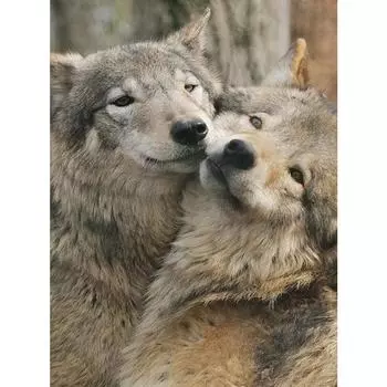 Стразы Вышивка Diy Алмазная Вышивка Полный Дрель 5d Алмазная Ремесленная Живопись Алмазная Стена Искусства Декор Full Round 20X30CM