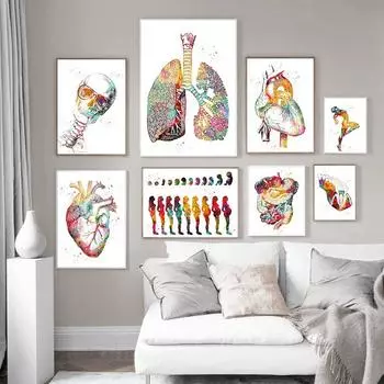 Строение человека Сердце Легкие и кости Плакаты и принты Медицинские клиники Картины на холсте Настенное искусство Медицинские энтузиасты Подарок 21x30cm No Framed