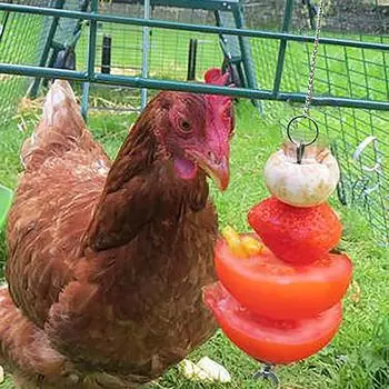 (SU)Нержавеющая сталь курица еда овощи фрукты подвесная игрушка-кормушка 6