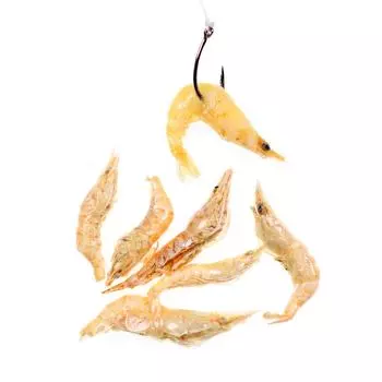 Сублимированные рыболовные пешки, пресноводные креветки для зимней рыбалки в соленой воде, наживка для ловли карпа, наживка на крючок для домашних животных