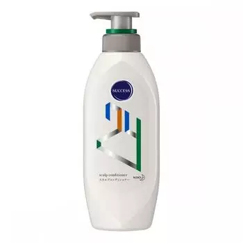 Success Kao Success 24 Контейнер для кожи головы 350 мл