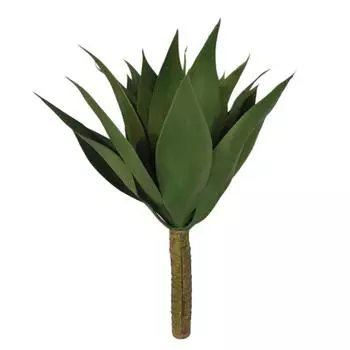 Succulent Home Decor For Lovers Plants To Plastics Plants Set - Addition To Green Plastics Washable