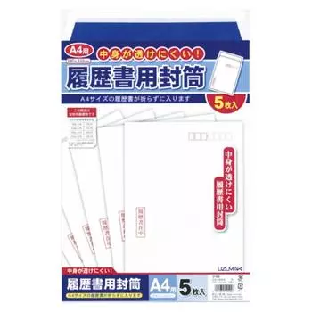 Suga Kogyo Resume Envelope A4 100 00015213